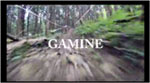 森の中を走るMTBの動画サムネイル