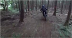 森林コースを走るMTBの動画サムネイル